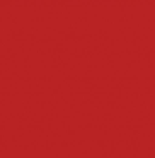 0149 BS Красный